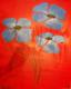 Blaue Blumen auf Rot - Klaus Ainedter - Acryl auf Leinwand - Abstrakt-Blumen - Abstrakt