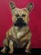 Bulldog Emma - Peter David - Acryl auf Leinwand -  - Realismus