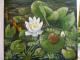 ---Seerose - Ute Farr - Acryl auf Leinwand - Blumen-See-Stillleben-Sommer-Sonne - Naturalismus