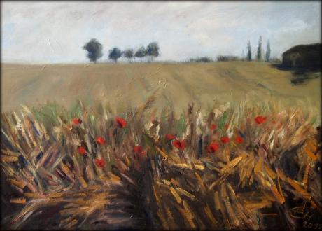 fields of summer - Ellen Fasthuber-Huemer - Array auf Array - Array - Array