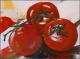 Tomaten - Hannelore Klimitsch - Acryl auf Leinwand -  - 