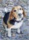 Beagle im Herbst - Nicole Zeug - Aquarell auf  - Hunde - 