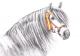Pura Raza Espanola - Nicole Zeug - Zeichnung auf  - Pferde - 