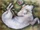 Golden Welpe - Nicole Zeug - Zeichnung auf  - Hunde - 