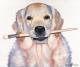 Artist Dog - Nicole Zeug - Acryl auf  - Hunde - 