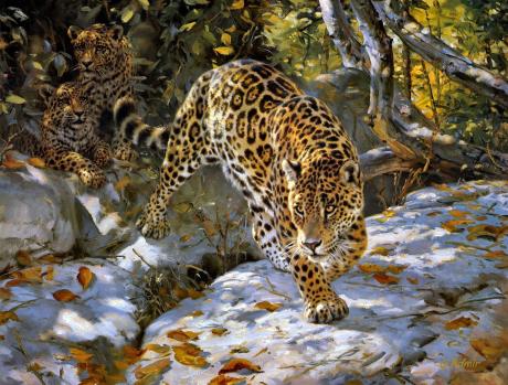 Leoparden - Admir Gabela - Array auf  -  - 