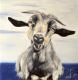 Portrait Ziege - Laura Schwarz - Ãl auf Leinwand - Haustiere-Wildtiere - GegenstÃ¤ndlich-Naturalismus-Realismus