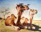 Kamele - Laura Schwarz - Ãl auf Leinwand - Kamele - Expressionismus-GegenstÃ¤ndlich-Naturalismus-Realismus