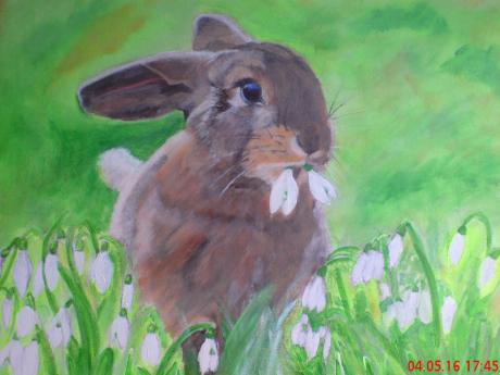 Kaninchen mit Schneeglöckchen - Sita Fedtke - Array auf Array - Array - 