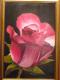 Rose - Edith Schroll - Acryl auf Leinwand - Blumen-Rosen - Realismus
