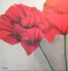 Mohnblume - Katrin Rehfeldt - Acryl auf Leinwand - Blumen-Mohn - Realismus