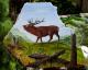 Hirsch Hirsch