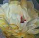 Gelbe PÃ¤onie - Barbara - BaSto Stolzenhain - Acryl auf Leinwand - Blumen - Realismus