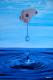 Wasser Gottes Geschenk--- Wasser Gottes Geschenk---