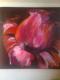 " Color´s of Roses " " Color´s of Roses "