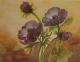 Anemonen--- - Dagmar Rasper - Aquarell auf Papier - Blumen - GegenstÃ¤ndlich