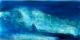 Die Welle Die Welle