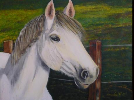 weißes Pony - Edith Schroll - Array auf Array - Array - Array