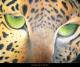 Leopard - Miriam Knopf - Acryl auf Leinwand - Tiere - Klassisch