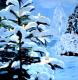--verschneiter Weihnachtsbaum- - Dagmar Richter - Acryl auf Leinwand - Landschaft-BÃ¤ume-Schnee - Realismus