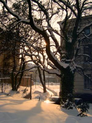 Wintermorgen am Universitätsplatz in Halle / Saale - Wolfgang Bergter -  auf Array - Array - 