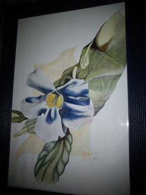 Copic-style - c. lemke - auf - Array - Copic-style - c. lemke - auf - Array -