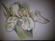 Copic-style Copic-style