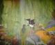 DIE WASSERFRAU - wanda spirit - Acryl auf Leinwand - Fantastisch-Natur - Fotorealismus