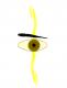 Das Auge Das Auge