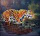 Tiger Tiger
