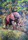 Elefant Elefant
