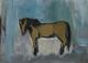 Pferd -  borgia -  auf  - Sonstiges-Pferde-Tiere - 