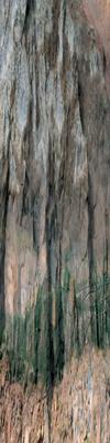 Erdschicht - Hajek - auf - Array - Erdschicht - Hajek - auf - Array -