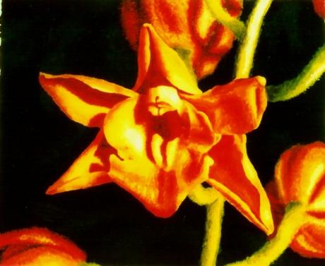 Orchidee in Acryl - Michael Fritzsche - Array auf - Array - Orchidee in Acryl - Michael Fritzsche - Array auf - Array -