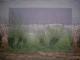 Elbufer -  sonnenlicht -  auf  - Sonstiges - 