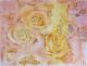 Aquarell: âDer Sonne Entgegenâ -  Markowitch - Aquarell auf Papier - Sonstiges - 