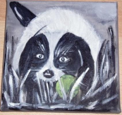 Kleiner Hund - Meike Linda Bücher - auf Array - Array - Kleiner Hund - Meike Linda Bücher - auf Array - Array -