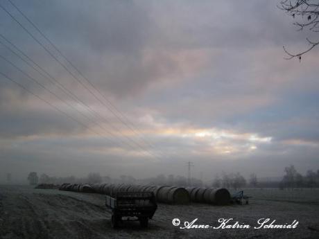 Aufkommender Nebel - Anne Schmidt - auf - Array - Aufkommender Nebel - Anne Schmidt - auf - Array -