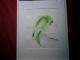 papagei blaustirnamazone -  tompaint - Aquarell auf Papier - Sonstiges - 