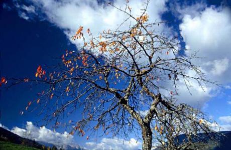 Wolken - Stimmung 01 - C.Hillinger - auf - Array - Wolken - Stimmung 01 - C.Hillinger - auf - Array -