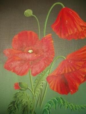 Mohn mit Wassertropfen - Lena Wanner - Array auf Array - Array - Mohn mit Wassertropfen - Lena Wanner - Array auf Array - Array -