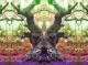 Old Oak
