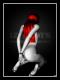 Bound digital FineART Canvas Print Bound digital FineART Canvas Print