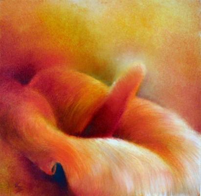 Rote Calla - Annette Schmucker - auf Array - Array - Rote Calla - Annette Schmucker - auf Array - Array -