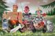 Tree-hero -  gaifinch -  auf  - Sonstiges - 