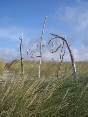 Holzkunst - A.Tschiersch - auf Array - Array - Holzkunst - A.Tschiersch - auf Array - Array -