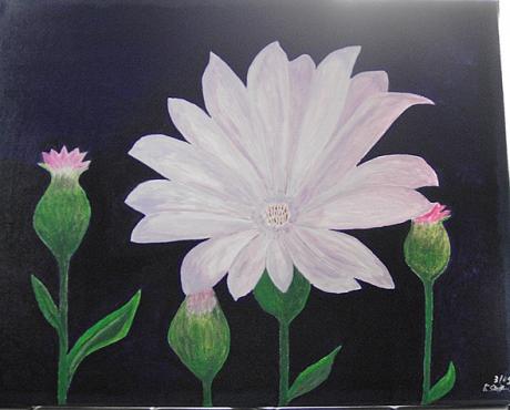 Blume violett/lila - faridi - Array auf Array - Array - Blume violett/lila - faridi - Array auf Array - Array -