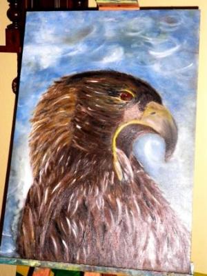 Adler1 - SH.Gisela - Array auf Array - Array - Adler1 - SH.Gisela - Array auf Array - Array -