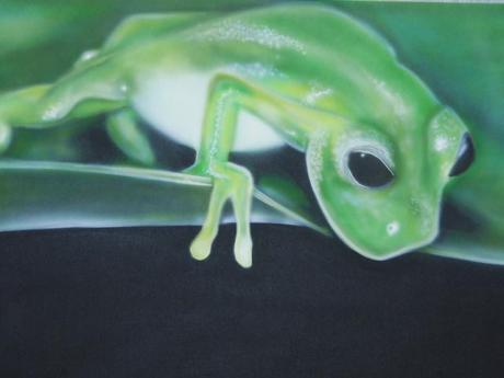 glasfrosch - André Kluge -ART - Array auf Array - Array - glasfrosch - André Kluge -ART - Array auf Array - Array -