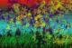 Autumn Breeze -  StarDream -  auf  - Sonstiges - 